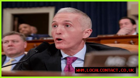 Trey Gowdy's Dynamic Presence: Unpacking His Public Appearance