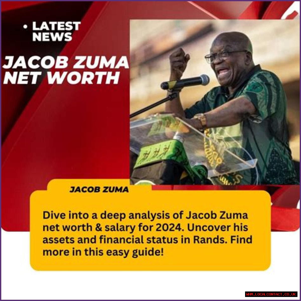 Unveiling Jacob Zuma's Net Worth: A Journey Through Wealth And Controversy